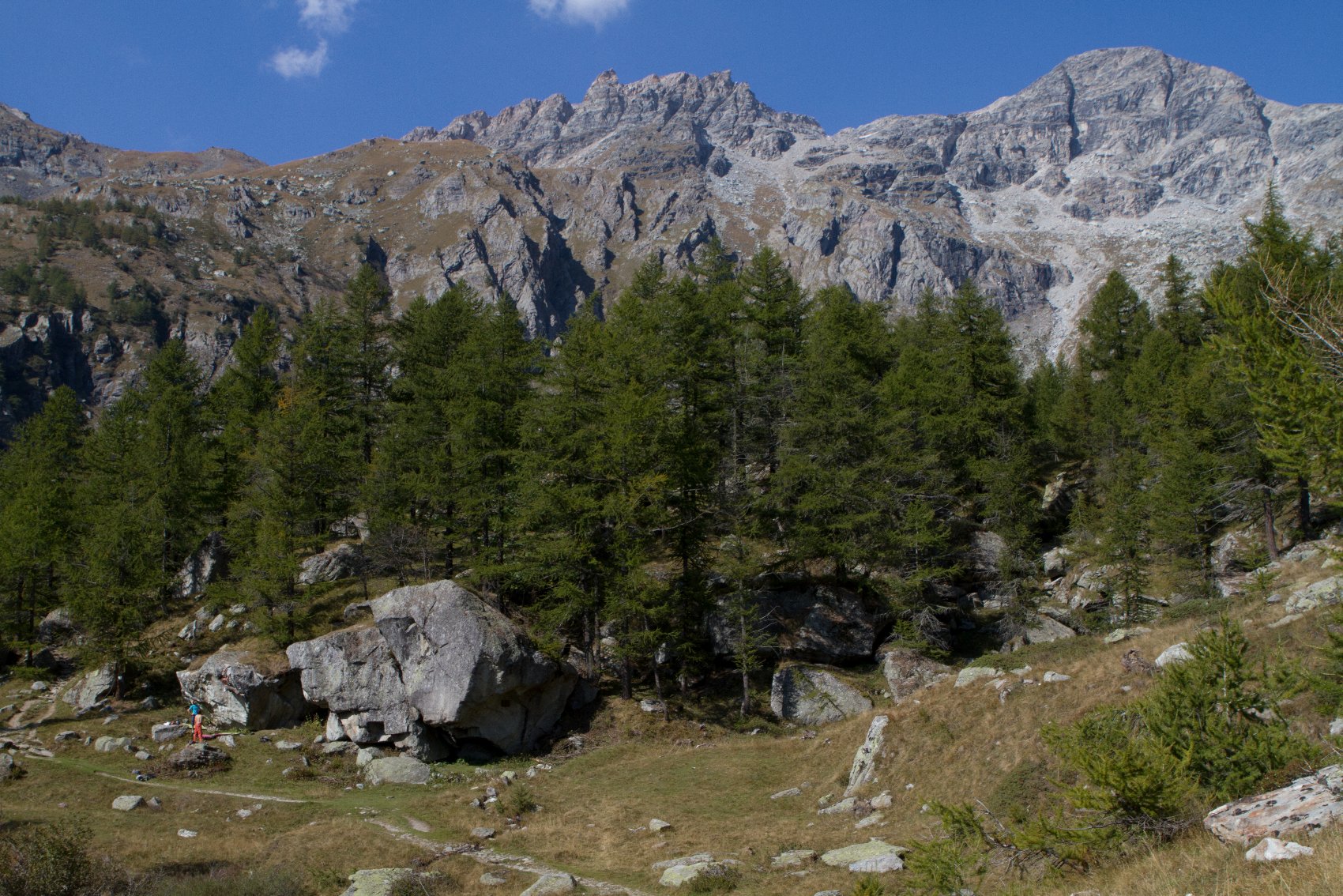 Tony Lamiche   Levi   Sir Wilkinson 6c